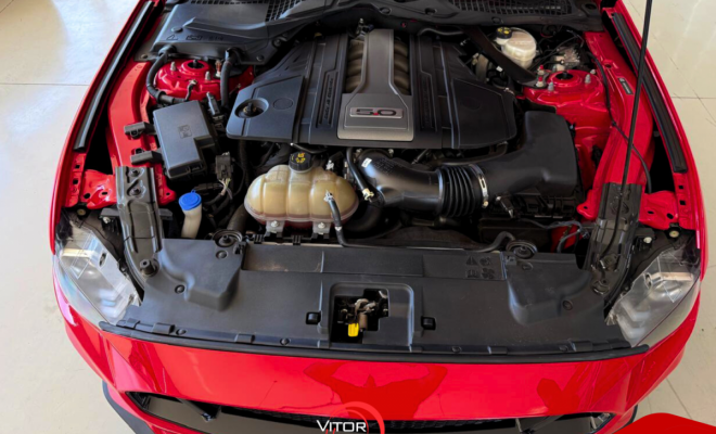 Ford Mustang Black Shadow 5.0 V8 2020 Gasolina-3