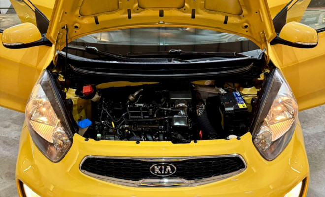 Kia Motors Picanto EX 1.1/1.0/ 1.0 Flex Aut. 2017 Flex-14