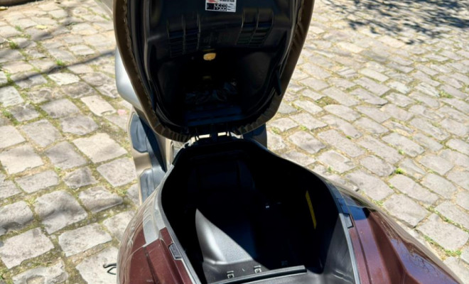 HONDA PCX 150/DLX 2022 Flex-6