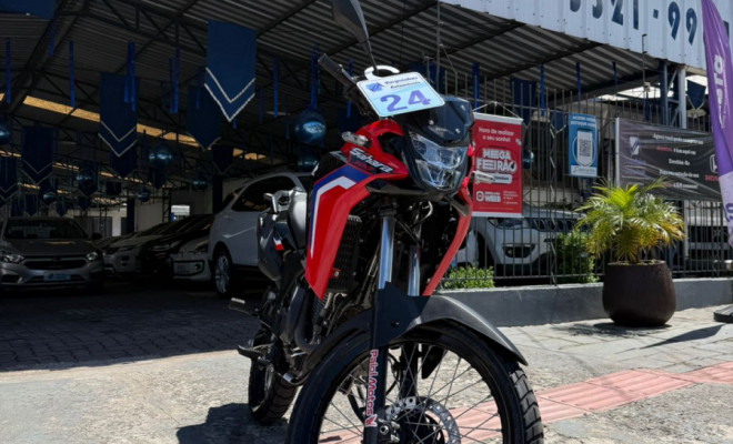 HONDA SAHARA 300 RALLY ABS FLEX 2024 Flex