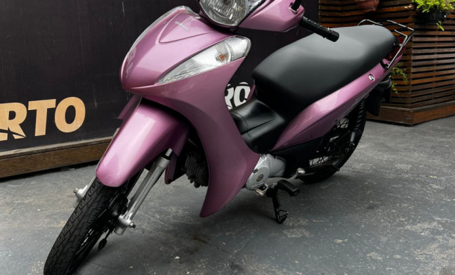 HONDA BIZ 125 ES/ 125 ES FLEX 2013 Flex-1