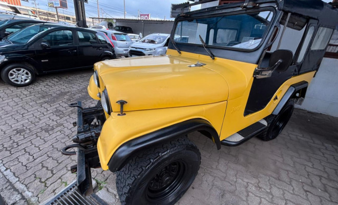 Ford Willys Rural 1973 Gasolina-7