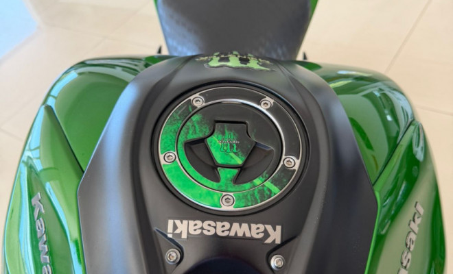 KAWASAKI Z 1000 2018 Gasolina-8