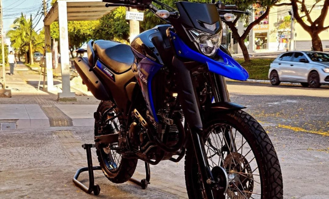 YAMAHA XTZ 250 LANDER 249cc/BLUEFLEX/ABS ANO 2020 Flex-0