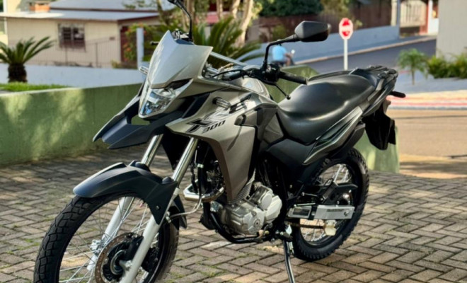 HONDA XRE 300/ 300 ABS/ FLEX 2019 Flex-5