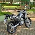 HONDA XRE 300/ 300 ABS/ FLEX 2019 Flex-4