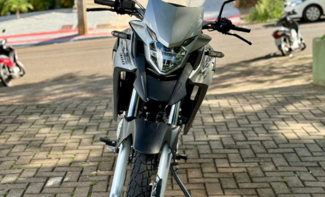 HONDA XRE 300/ 300 ABS/ FLEX 2019 Flex-2