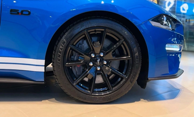 Ford Mustang Black Shadow 5.0 V8 2020 Gasolina-16