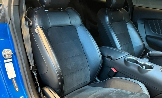 Ford Mustang Black Shadow 5.0 V8 2020 Gasolina-14