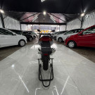 YAMAHA YS 250 FAZER/ FAZER L. EDITION /BLUEFLEX 2008 Gasolina-3