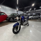 YAMAHA YS 250 FAZER/ FAZER L. EDITION /BLUEFLEX 2008 Gasolina-1