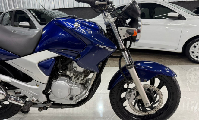 YAMAHA YS 250 FAZER/ FAZER L. EDITION /BLUEFLEX 2008 Gasolina-8