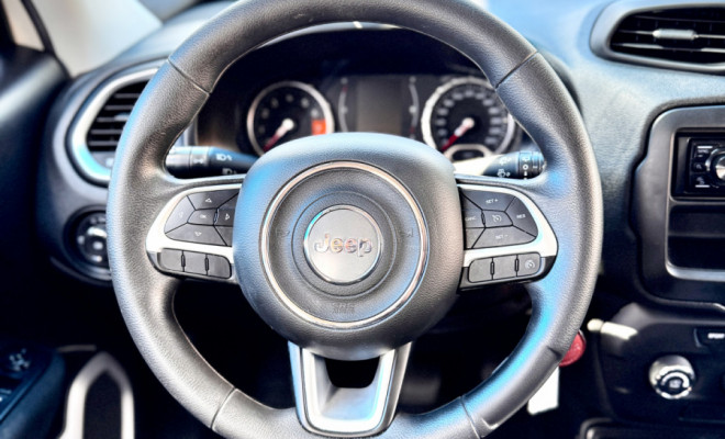 Jeep Renegade1.8 4x2 Flex 16V Aut. 2019 Flex-8