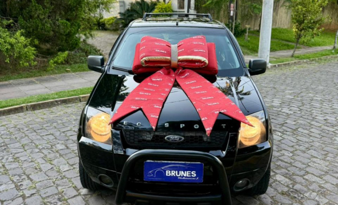 Ford EcoSport XLS FREESTYLE 1.6 Flex 8V 5p 2007 Flex-3