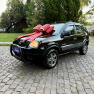 Ford EcoSport XLS FREESTYLE 1.6 Flex 8V 5p 2007 Flex-5