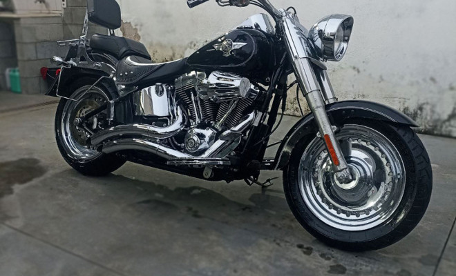 HARLEY-DAVIDSON FAT BOY FLSTF 2011 Gasolina