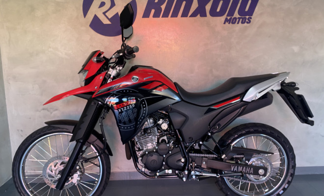 YAMAHA XTZ 250 LANDER 249cc/LANDER BLUEFLEX/ABS 2024 Flex
