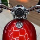 HARLEY-DAVIDSON XL 1200 CUSTOM 2014 Gasolina-2