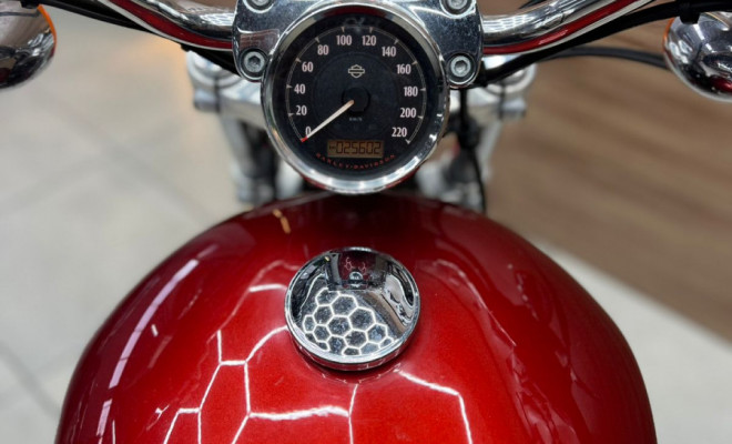 HARLEY-DAVIDSON XL 1200 CUSTOM 2014 Gasolina-2