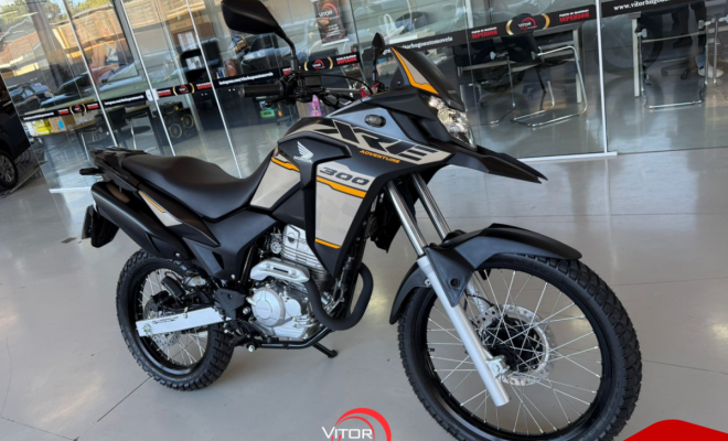 HONDA XRE 300 ADVENTURE FLEX 2023 Flex