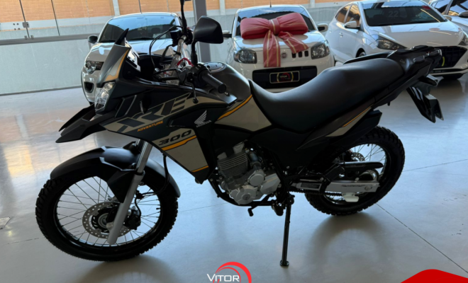 HONDA XRE 300 ADVENTURE FLEX 2023 Flex-7