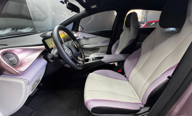 BYD Dolphin EV (Elétrico) 2024 Elétrico-6