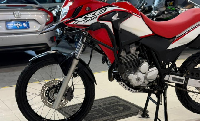 HONDA XRE 300 RALLY FLEX 2021 Flex-3