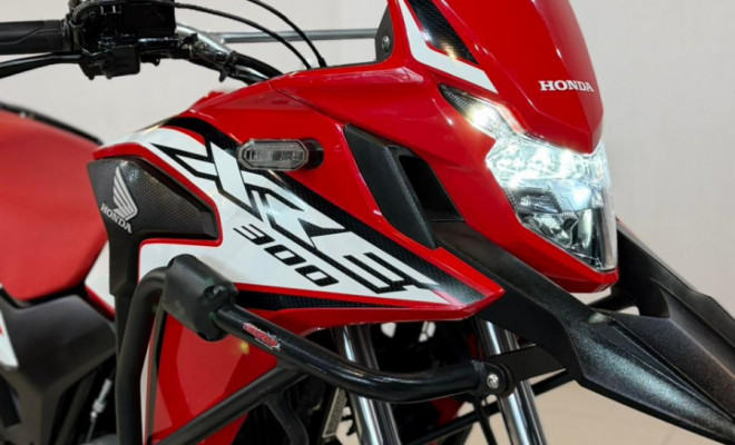 HONDA XRE 300 RALLY FLEX 2021 Flex-2