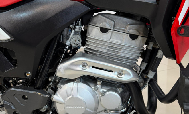 HONDA XRE 300 RALLY FLEX 2021 Flex-4