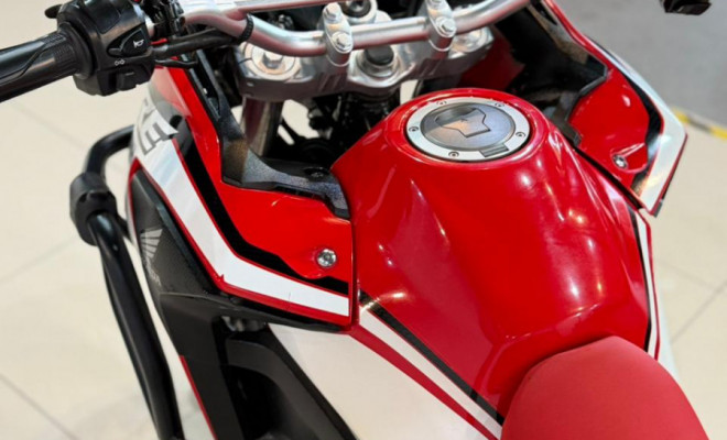 HONDA XRE 300 RALLY FLEX 2021 Flex-6