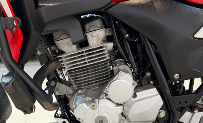 HONDA XRE 300 RALLY FLEX 2021 Flex-5