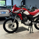 HONDA XRE 300 RALLY FLEX 2021 Flex-3