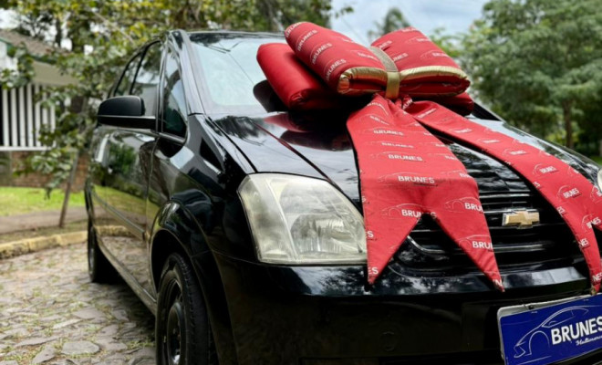 GM - Chevrolet Meriva Maxx 1.4 MPFI 8V ECONOFLEX 5p 2011 Flex-2