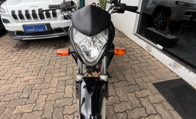 HONDA CB 300R/ 300R FLEX 2011 Flex-3