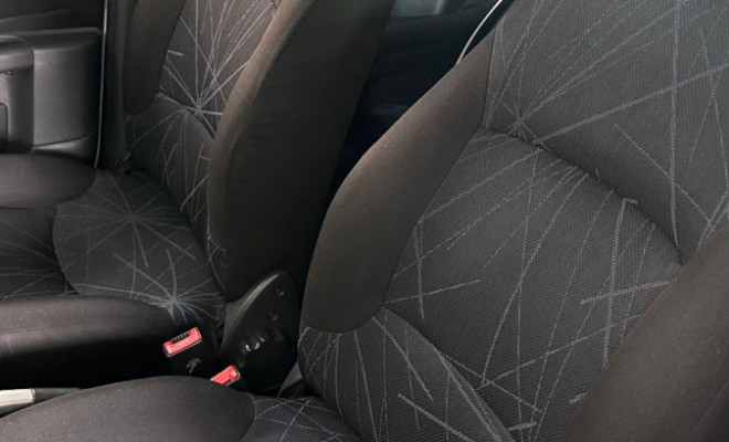 Fiat Palio ELX 1.4 Fire/30 Anos F. Flex 8V 4p 2010 Flex-13