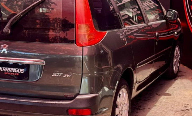 Peugeot 207 SW XR 1.4 Flex 8V 5p 2009 Flex-5