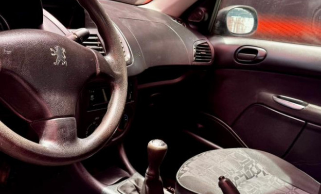 Peugeot 207 SW XR 1.4 Flex 8V 5p 2009 Flex-4