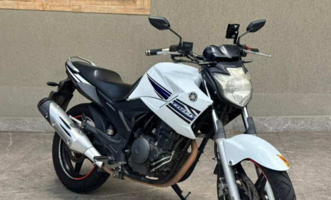 YAMAHA YS 250 FAZER/ FAZER L. EDITION /BLUEFLEX 2014 Flex
