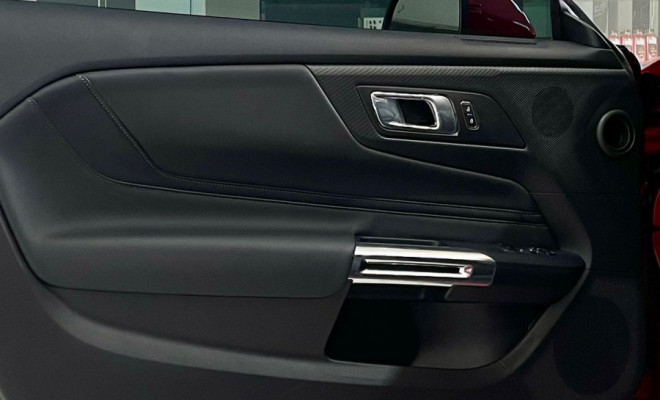 Ford Mustang GT Performance 5.0 V8 Aut. 2024 Gasolina-19