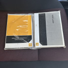 Renault SANDERO STEPWAY Hi-Flex 1.6 16V 5p Aut. 2013 Flex-7