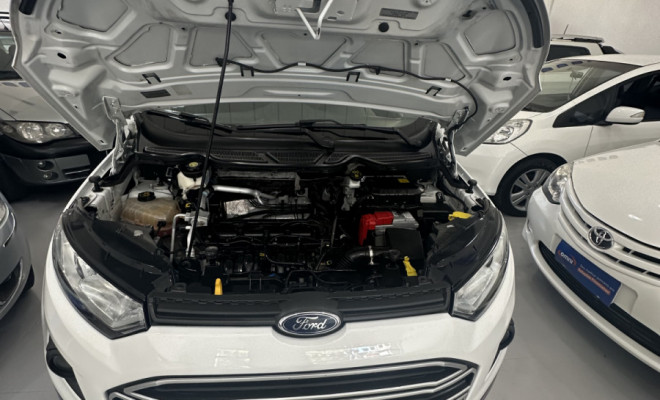 Ford EcoSport SE 1.6 16V Flex 5p Mec. 2017 Flex-7