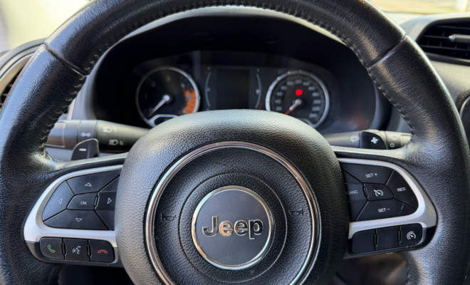 Jeep Renegade Sport 2.0 4x4 TB Diesel Aut. 2016 Diesel-9