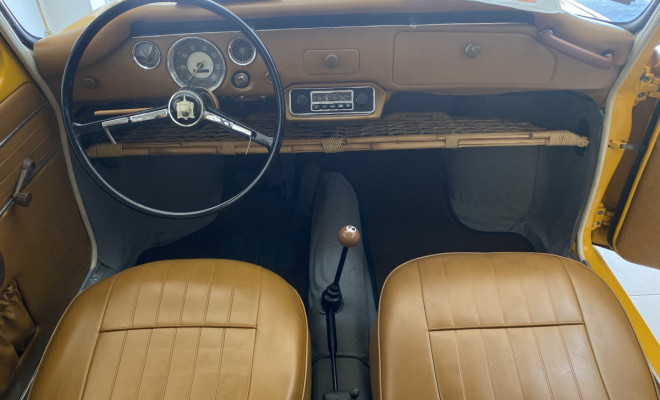 Variant 1973 Gasolina-6