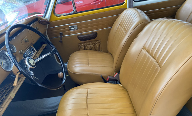 Variant 1973 Gasolina-8