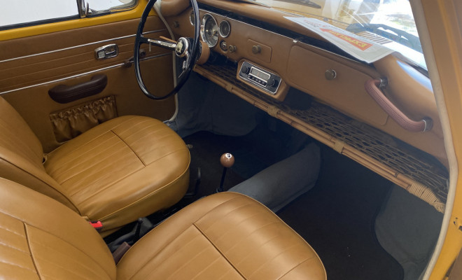 Variant 1973 Gasolina-7