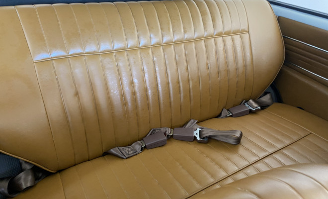 Variant 1973 Gasolina-9