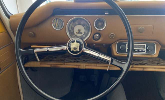 Variant 1973 Gasolina-10