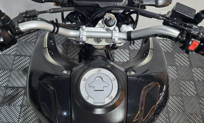 YAMAHA XTZ 250 LANDER 249cc/LANDER BLUEFLEX/ABS 2022 Flex-2