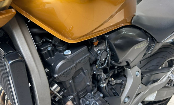 HONDA CB 600F HORNET 2010 Gasolina-3
