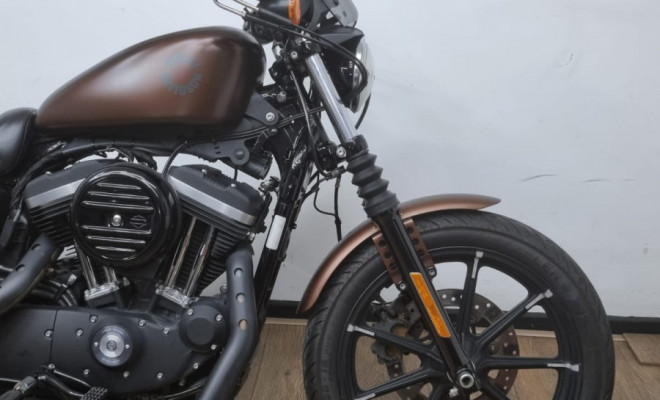 HARLEY-DAVIDSON XL 883N IRON 2019 Gasolina-6